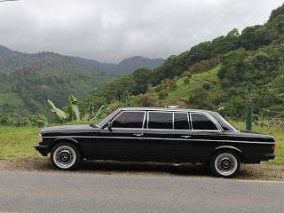 86ac74956d2d7faaf783a69931754279.jpg
